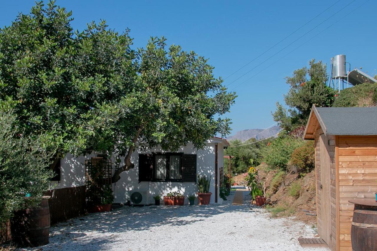 Summer Dream Cottage, 2Br, Beautiful Sea View Mochlos Exterior photo